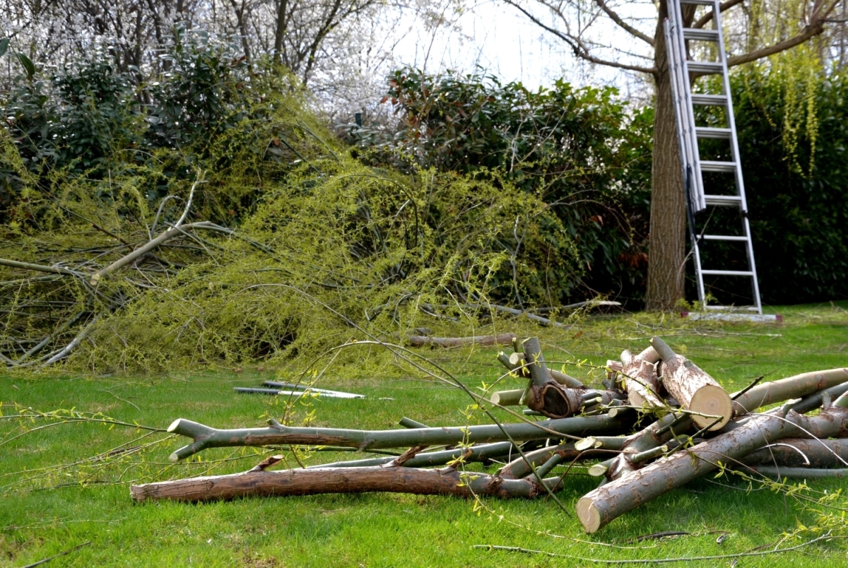 DIY vs. Professional Storm Clean-Up: What You Need to Know