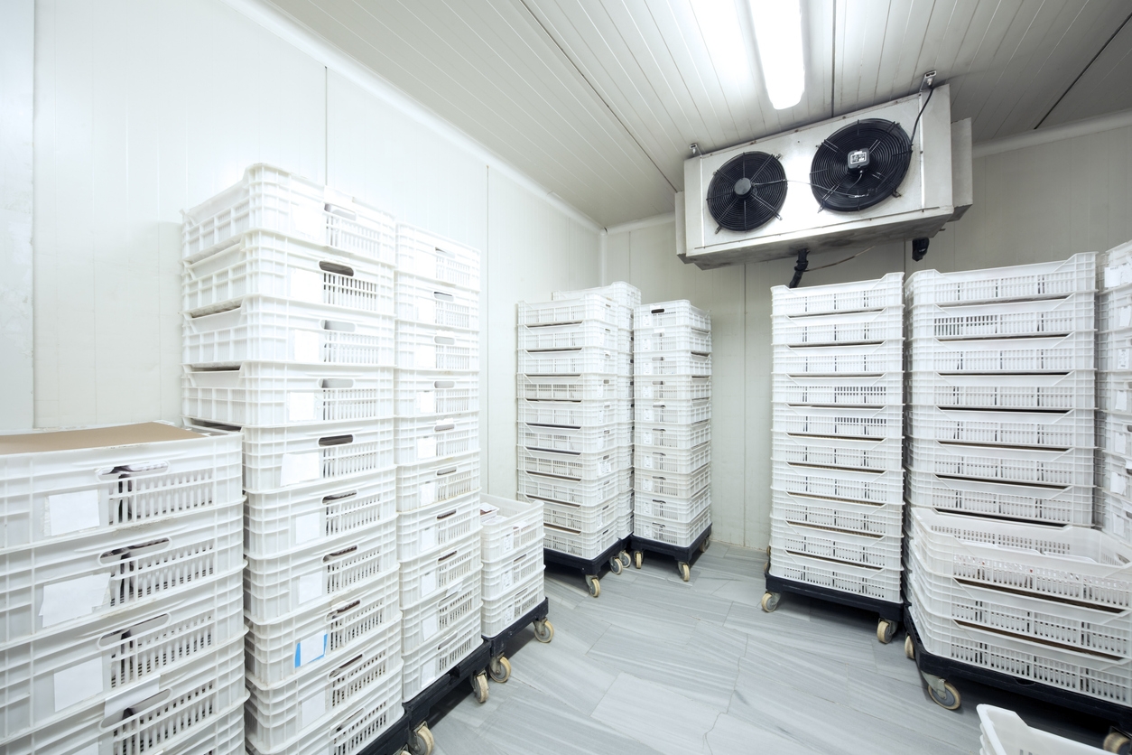 The 4 Benefits of Climate-Controlled Storage for Sensitive Items 