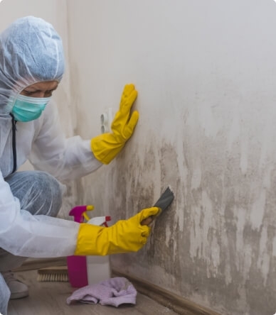 With our mold remediation services, our team can protect your property from the threat of mold growth and make sure the health and well-being of your family are safeguarded. 
