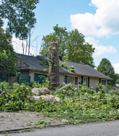 Storms, high winds, and tornados can wreak havoc on your property, but with our storm cleanup services, we can restore your home or business to its former glory quickly and efficiently.