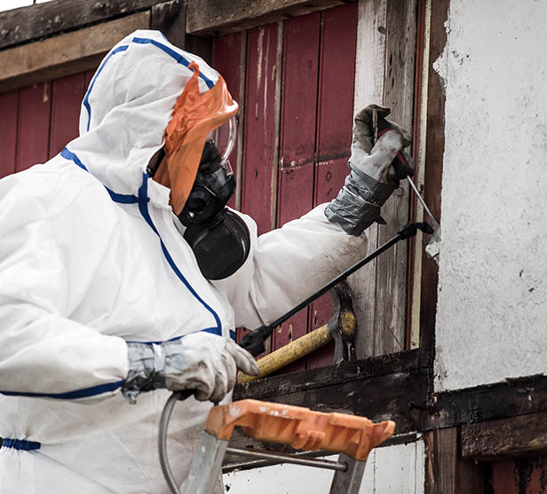 Get the Best Restoration Services in Trenton, MI | MJ White - asbestos-trenton